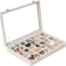 Mebbay 35 Grid Earring Organizer