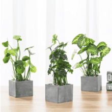 MyGift Artificial Plants