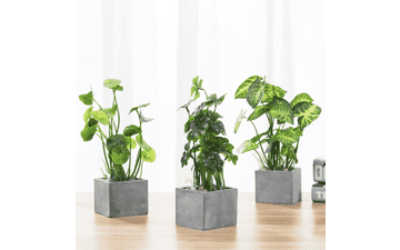 MyGift Artificial Plants