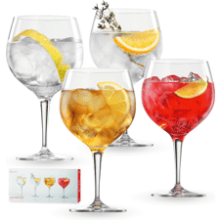 Special Gin and Tonic Glasses Set of 4