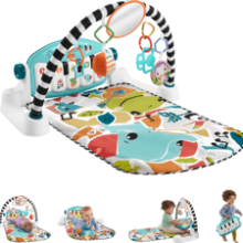 Fisher-Price Baby Activity Mat