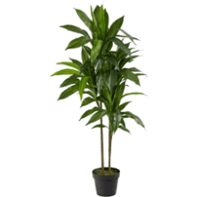 Nearly Natural Real Touch Leaves Artificial Dracaena Plant