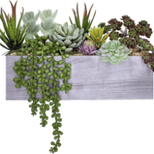 Supla Artificial Potted Succulents Plants Arrangement