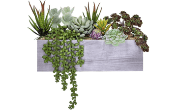 Supla Artificial Potted Succulents Plants Arrangement