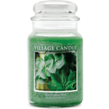 Village Candle Eucalyptus Mint