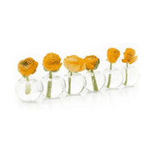 CHIVE ‘Caterpillar’ Bubble Bud Vase