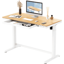 FLEXISPOT Comhar Electric Standing Desk