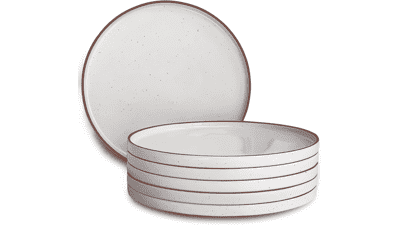 Mora 10.5-inch Porcelain Dinner Plate Set