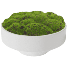 NAHARO New Moss Bowl