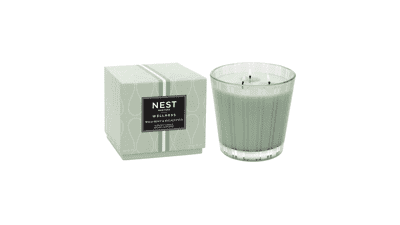 NEST New York Wild Mint & Eucalyptus Candle