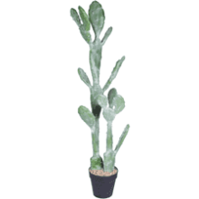 Ruwenus Artificial Cactus