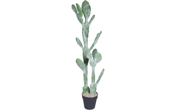 Ruwenus Artificial Cactus