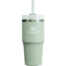 Stanley Quencher FlowState Tumbler