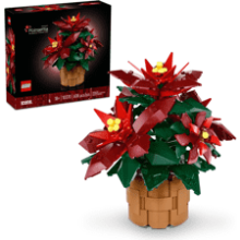 LEGO Icons Poinsettia Building Set